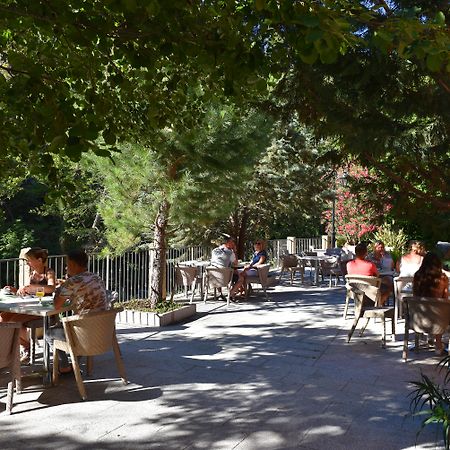 Les Jardins De La Glaciere Corte  Exterior foto
